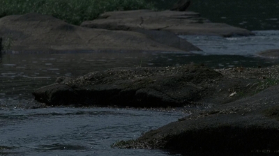 twd0604-2899.jpg