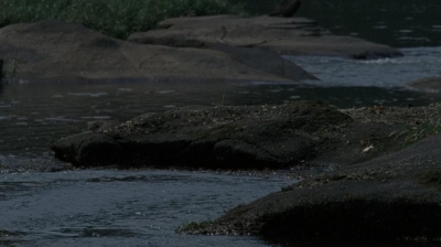 twd0604-2901.jpg