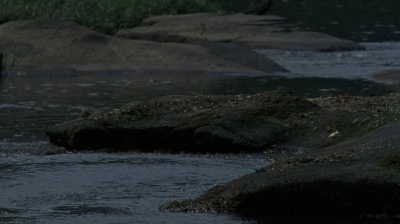 twd0604-2902.jpg