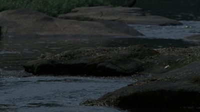 twd0604-2904.jpg
