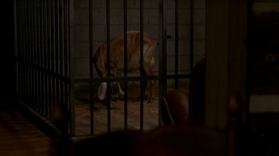 twd0604-2936.jpg