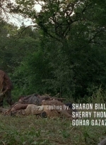 twd0604-0230.jpg