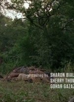 twd0604-0231.jpg