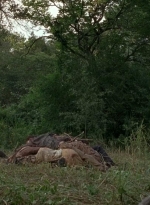 twd0604-0232.jpg