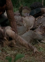 twd0604-0233.jpg