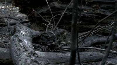 twd0606-2815.jpg