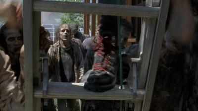 twd0608-0335.jpg