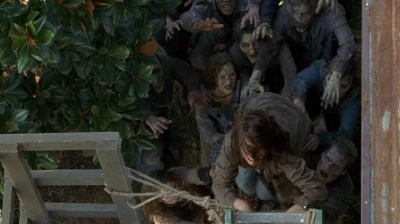 twd0608-0336.jpg