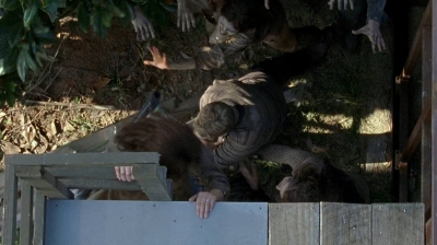 twd0608-0358.jpg