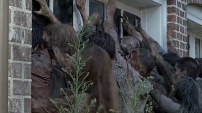 twd0608-0449.jpg