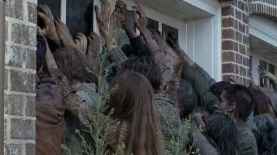 twd0608-0455.jpg