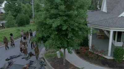 twd0608-0508.jpg