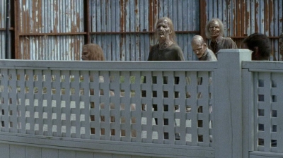 twd0608-1481.jpg