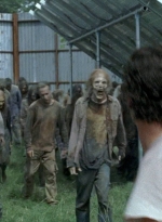 twd0608-0244.jpg