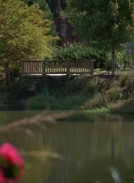 twd0614-0460.jpg