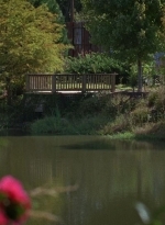 twd0614-0464.jpg