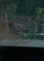 twd0614-0836.jpg