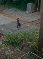 twd0614-0925.jpg
