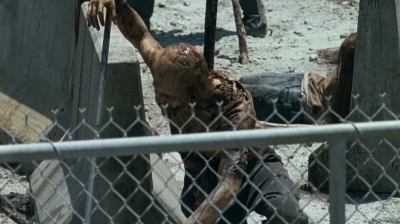 twd0703-0188.jpg