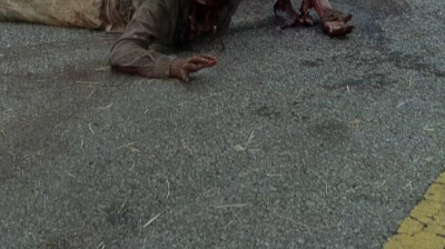twd0703-1096.jpg