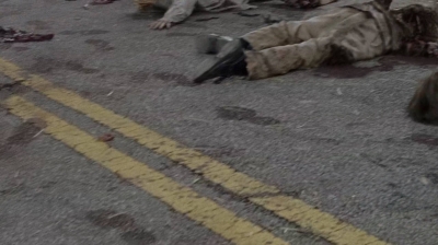twd0703-1150.jpg
