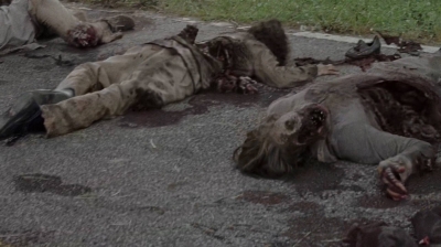 twd0703-1152.jpg