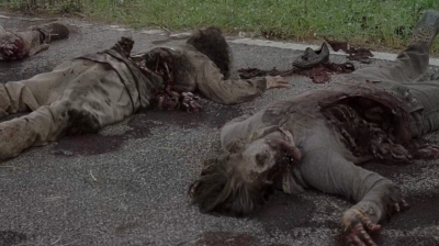 twd0703-1154.jpg