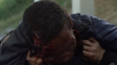 twd0703-1184.jpg