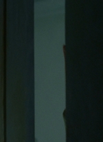 twd0703-1006.jpg