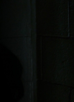 twd0703-1024.jpg