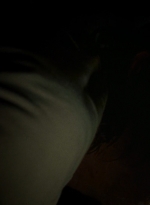 twd0703-1028.jpg