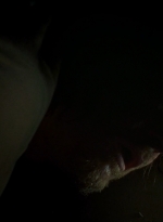 twd0703-1030.jpg