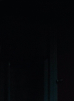 twd0703-1069.jpg