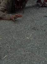 twd0703-1096.jpg