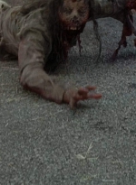 twd0703-1097.jpg