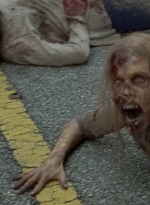 twd0703-1100.jpg