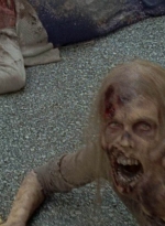 twd0703-1102.jpg