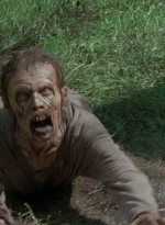 twd0703-1110.jpg