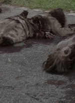 twd0703-1152.jpg