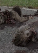 twd0703-1154.jpg