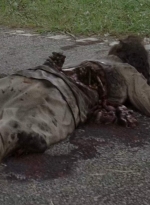 twd0703-1158.jpg