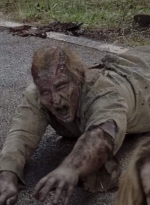 twd0703-1166.jpg