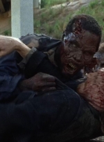 twd0703-1187.jpg