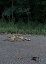 twd0703-1533.jpg