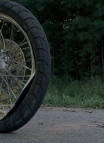 twd0703-1540.jpg