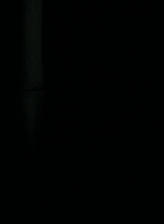 twd0703-2149.jpg