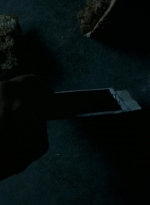 twd0703-2277.jpg