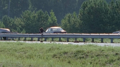 twd0709-2667.jpg