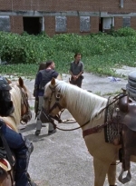 twd0709-0694.jpg