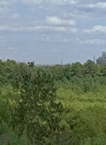 twd0709-2295.jpg